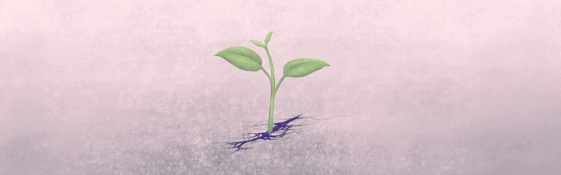 Une jeune plante brisant un sol dur en pierre