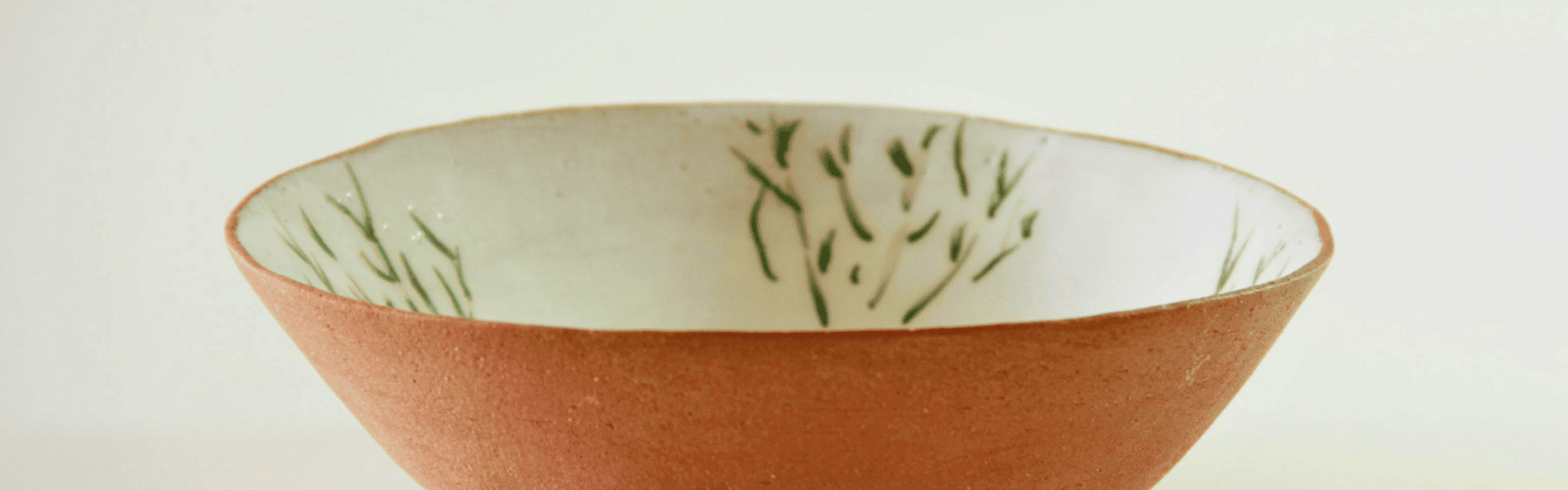 Un bol en terre cuite avec un intérieur blanc et le dessin d'une plante verte