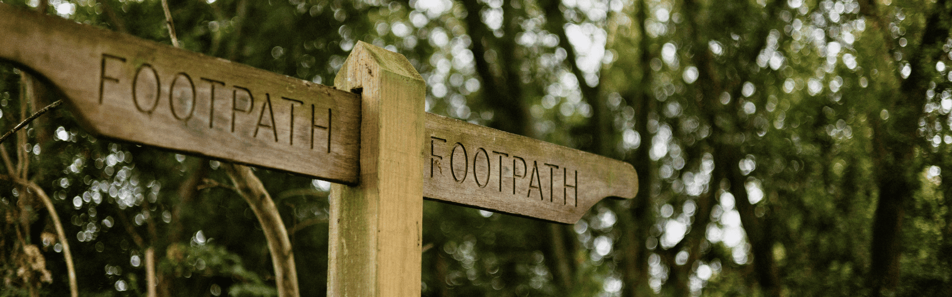 Un panneau en bois dans une forêt indiquant des chemins